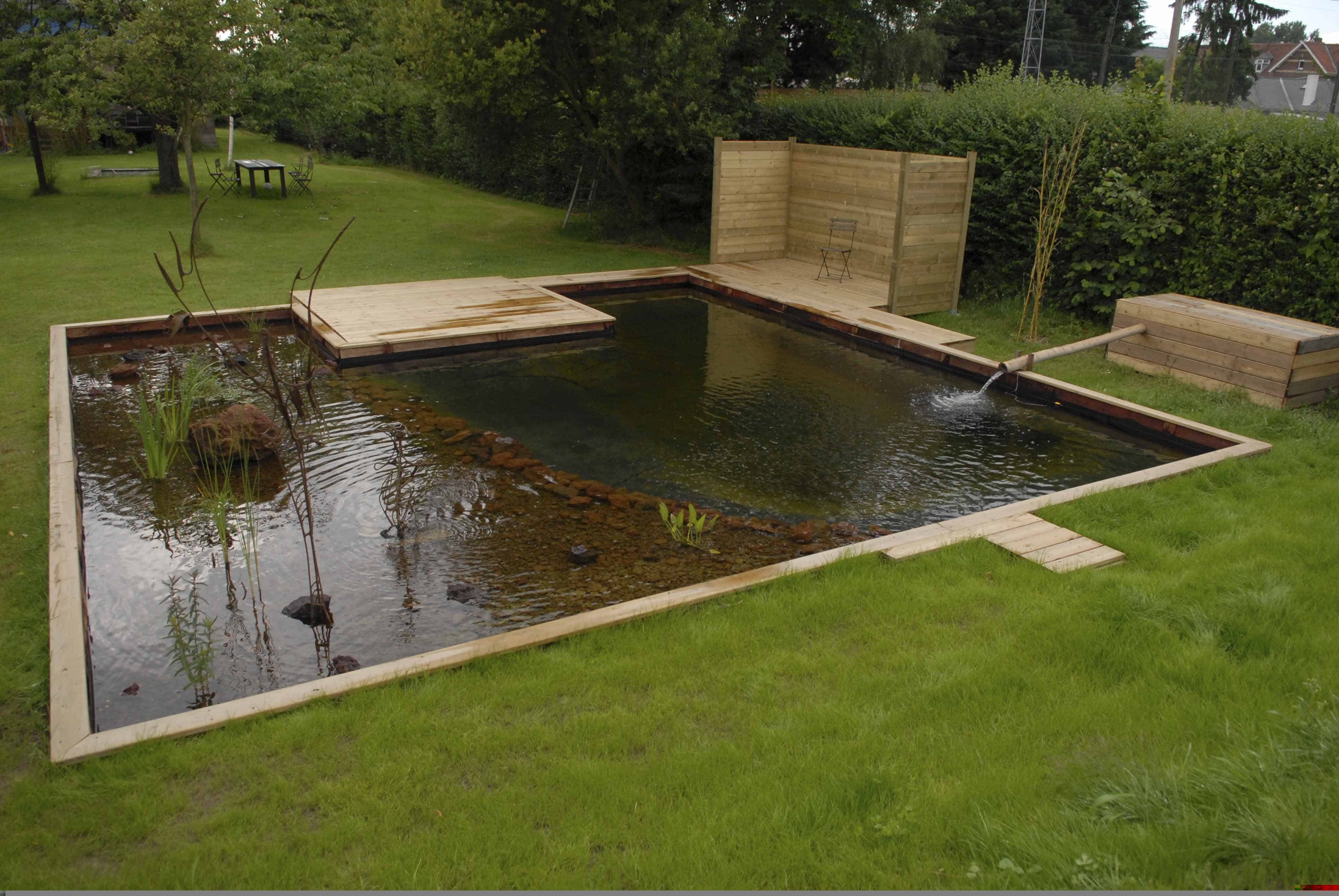 Kain bassin étang plantes naturel bois planches pompes filtres