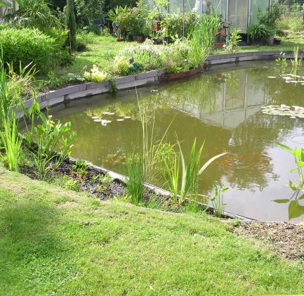 Kain bassin étang plantes naturel bois planches pompes filtres
