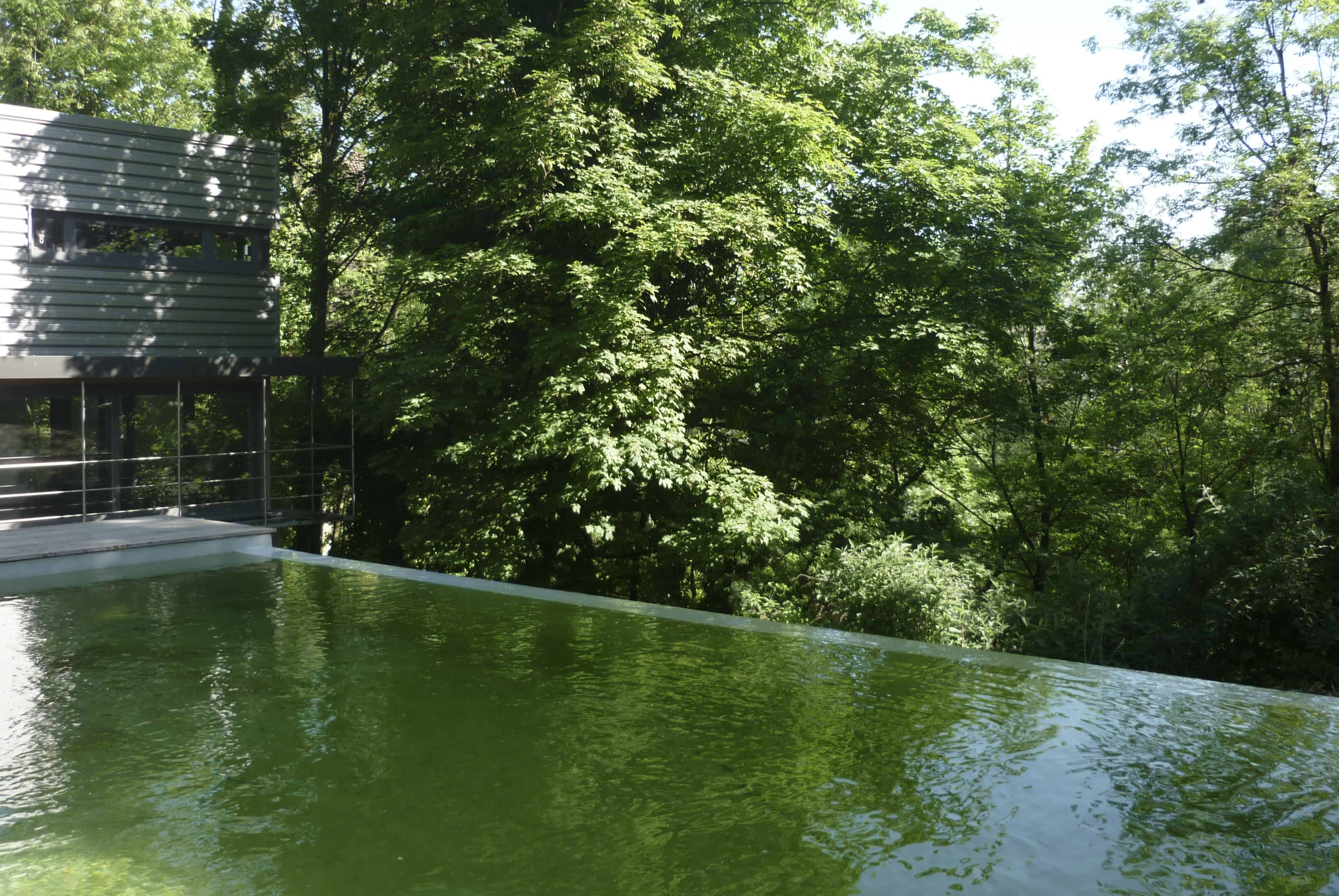 étang piscine naturel débordement